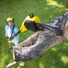 Best Aeration Services  in Wolfhurst, OH